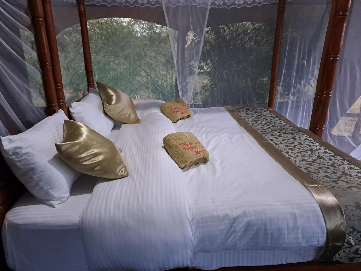 ホテル Tayari Luxury Tented Camp - Mara Sekenani エクステリア 写真